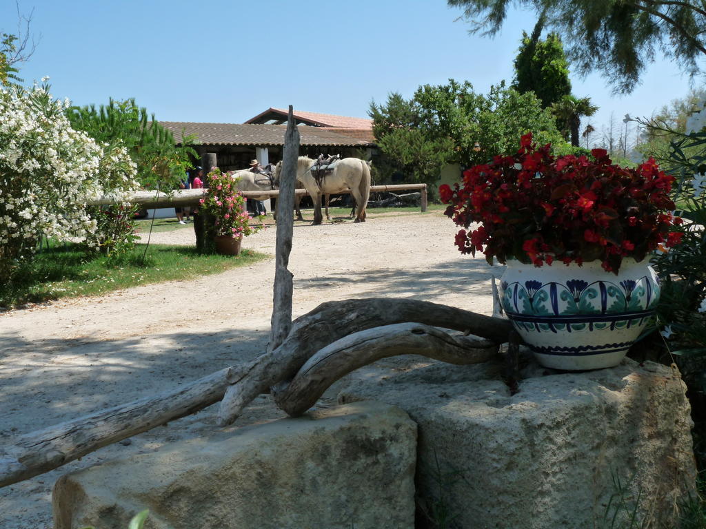 Bergerie D'Alivon En Camargue Albaron Exterior foto